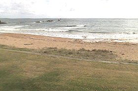 Penguin Caravan Park - Accommodation VIC 0