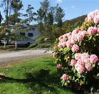 Zeehan Bush Camp  and Caravan Park - Accommodation VIC