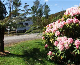 Zeehan Bush Camp  And Caravan Park - Accommodation VIC 0