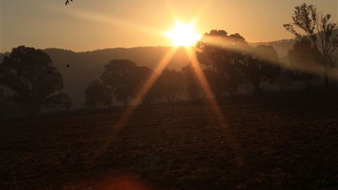 Gentle Annie Caravan And Camping Reserve - Accommodation VIC 1