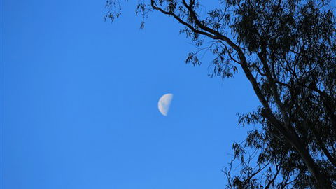 Gentle Annie Caravan And Camping Reserve - Accommodation VIC 4
