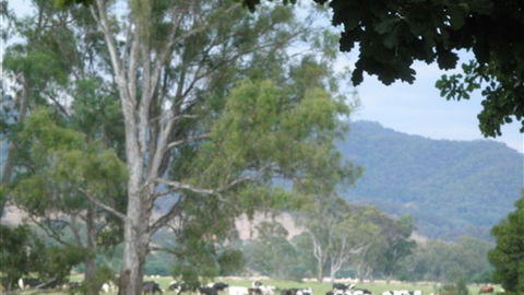Gentle Annie Caravan And Camping Reserve - Accommodation VIC 3