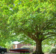 Lakes and Craters Holiday Park - Accommodation VIC