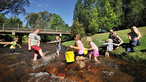 NRMA Bright Holiday Park - Accommodation VIC 3