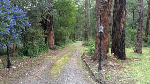 Wattle Tree Creek Cottages - Accommodation VIC 5