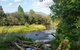 Tewksbury Lodge - thumb 6