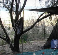 Main Beach Foreshore Camping Grounds - Accommodation VIC