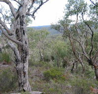 The Glen - Accommodation VIC