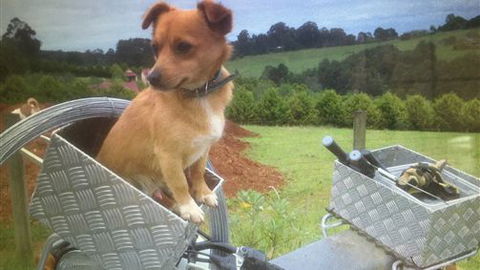 Farm Accommodation - Accommodation VIC 1