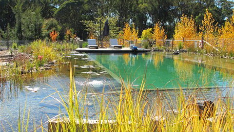 Planetrees Estate  - Accommodation VIC 5