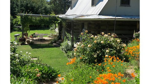 Planetrees Estate  - Accommodation VIC 6