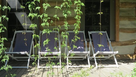 Planetrees Estate  - Accommodation VIC 7