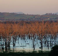 Salisbury - Accommodation VIC