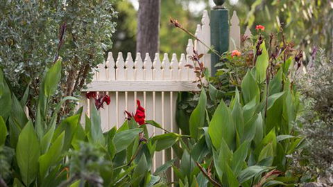 Muscat House - Accommodation VIC 6