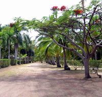 Alva Beach Tourist Park - Accommodation VIC
