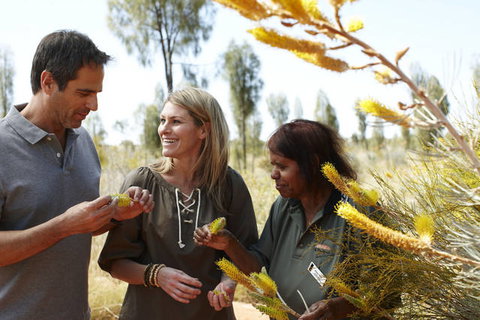 Ayers Rock Campground - Accommodation VIC 2