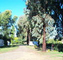 Cudal Caravan Park - Accommodation VIC