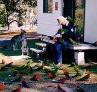 Inland Waters Holiday Parks Burrinjuck - Accommodation VIC