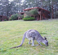 Jenolan Caves Cottages - Accommodation VIC
