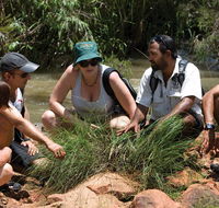 Nitmiluk Tours  Accommodation - Accommodation VIC