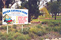 Ouyen Caravan Park - Accommodation VIC 0