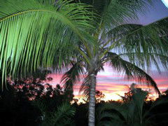 Palmerston Sunset Retreat - Accommodation VIC 4
