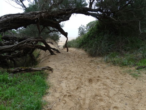 Ripples N Tonic - Accommodation VIC 7