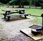 Bellbird campground - Accommodation VIC