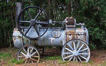 Dingo Forest NSW Accommodation VIC