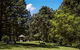 Dingo Tops Campground - thumb 2