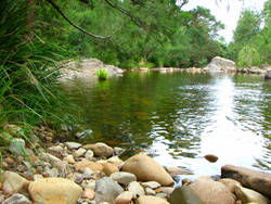 Riverwood Downs Mountain Valley Resort - Accommodation VIC 7
