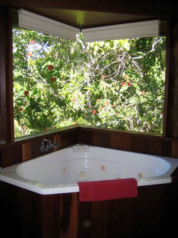 Rose Gums Wilderness Retreat - Accommodation VIC 3