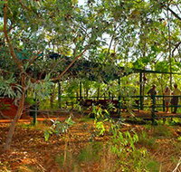 Arnhemland Barramundi Nature Lodge - Accommodation VIC