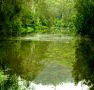 Mangrove Yoga Ashram - Accommodation VIC