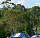 Milton Valley Holiday Park - Accommodation VIC