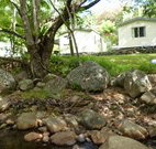 Mt Warning Rainforest Park - Accommodation VIC