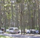 Mystery Bay Camping Area - Accommodation VIC