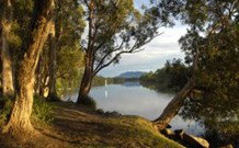 South West Rocks Tourist Park - South - Accommodation VIC 0
