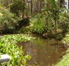 Tallowood Ridge B and B - Accommodation VIC