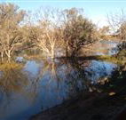 Warrawong on the Darling - Accommodation VIC