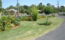 Glen Innes Motel - Glen Innes - Accommodation VIC 1