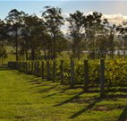H Boutique Hotel - Pokolbin - Accommodation VIC