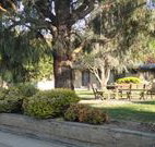 Hamilton Hume Motor Inn - Yass - Accommodation VIC