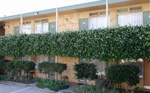 Mid City Motor Inn - Queanbeyan - Accommodation VIC 4