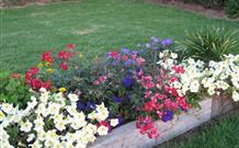 Narromine Tourist Park And Motel - Narromine - Accommodation VIC 1