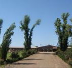 Newell Motor Inn - Narrandera - Accommodation VIC