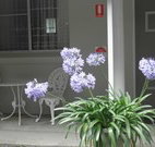 Pine Lodge Motel - Woolgoolga - Accommodation VIC