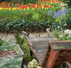 The Carrington Inn - Accommodation VIC