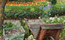 The Carrington Inn - Accommodation VIC 0
