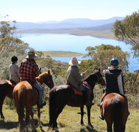 Reynella Homestead and Horseback Rides - Accommodation VIC